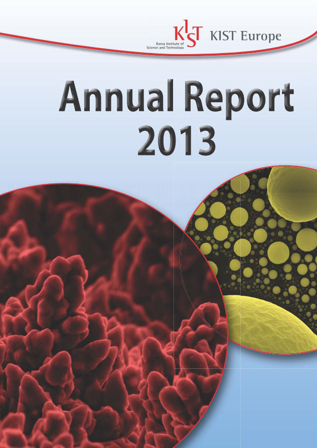 2013 annual report.PNG